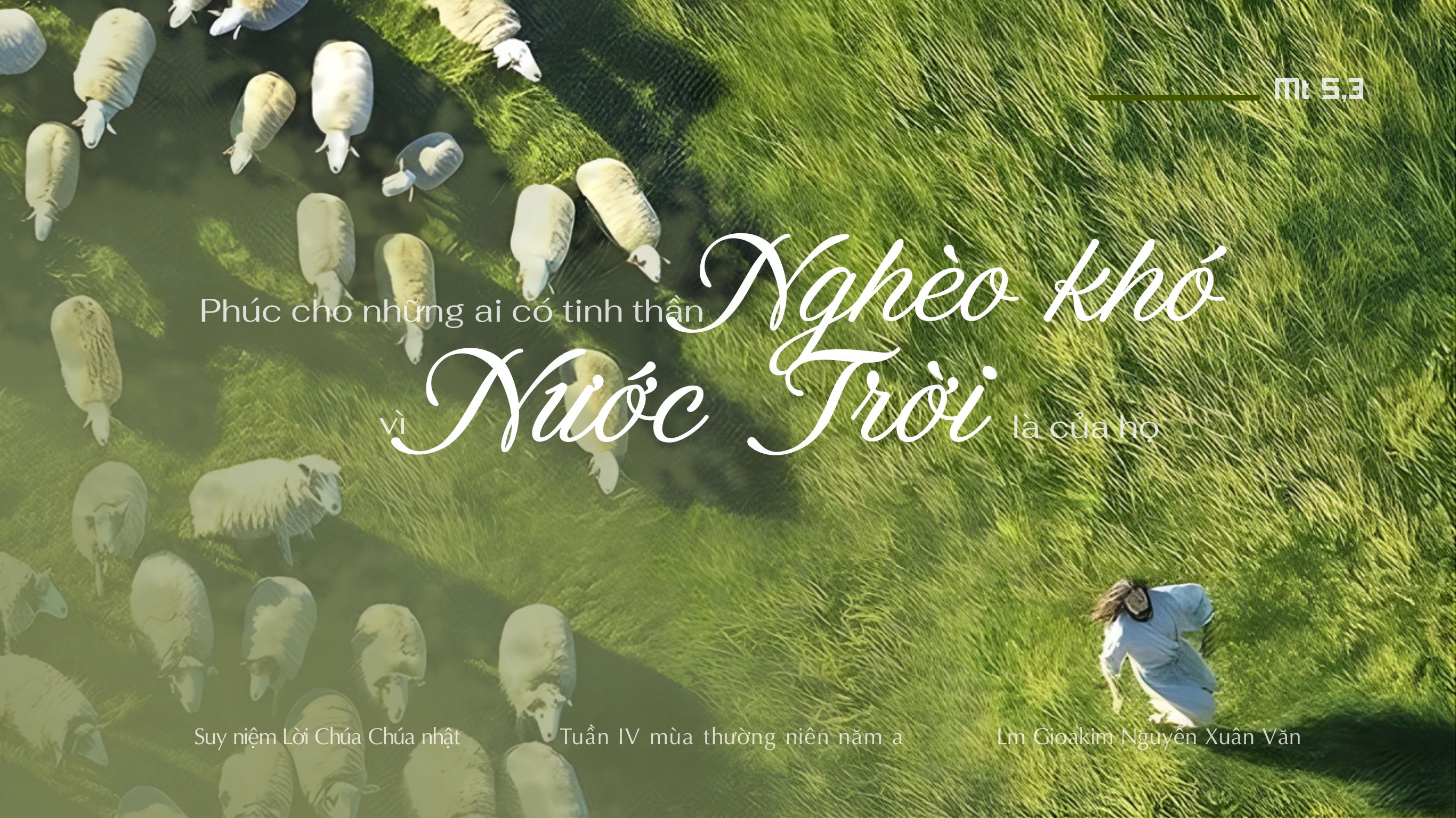 Đâu là hạnh phúc đích thực?_Suy niệm Tin mừng Chúa nhật Tuần IV Mùa Thường niên Năm A